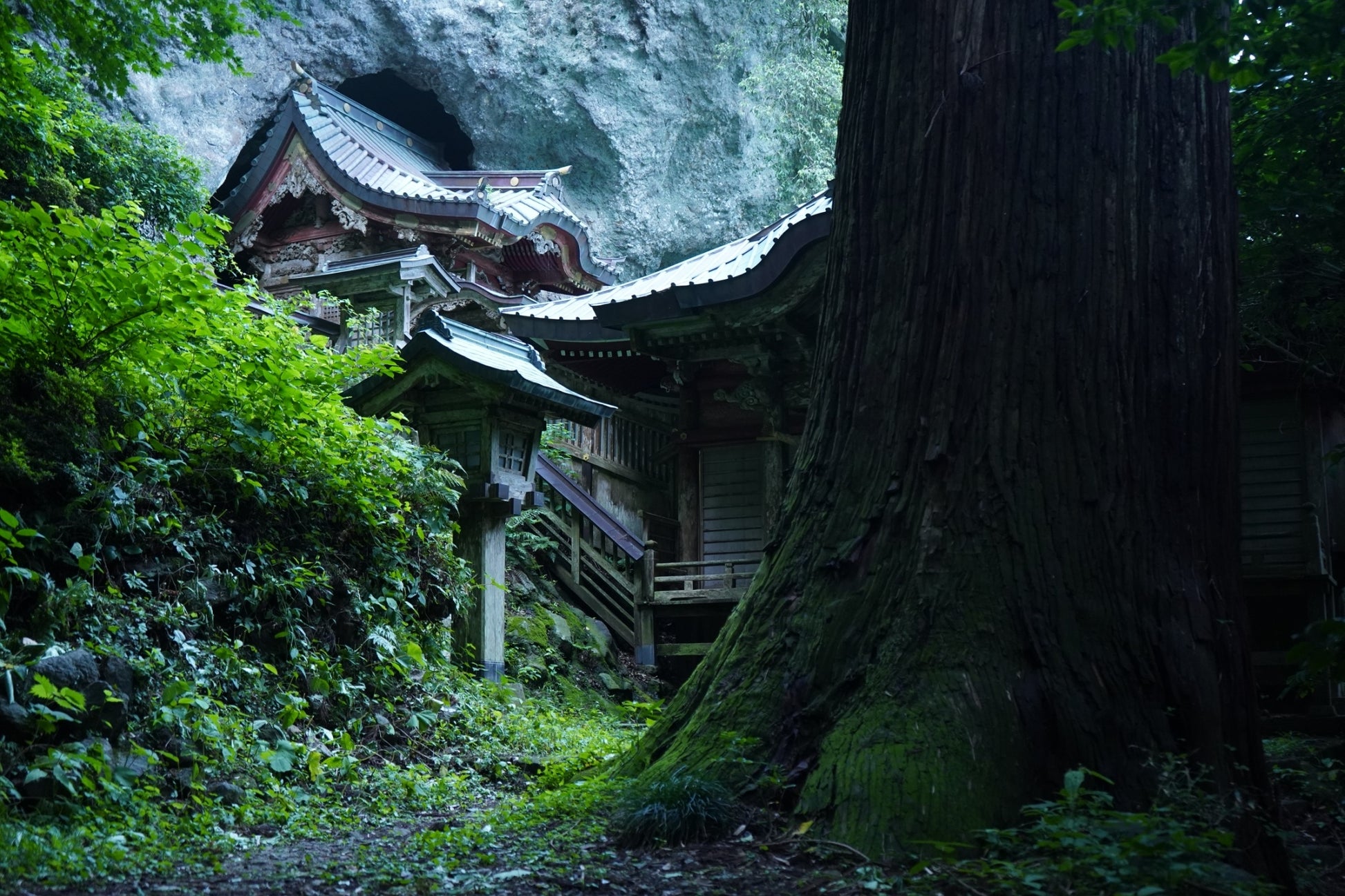 隠岐・焼火神社